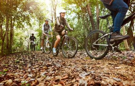 Visiter la Normandie · Activités proches du Manoir du Lys · Hôtel 4 étoiles dans l’Orne