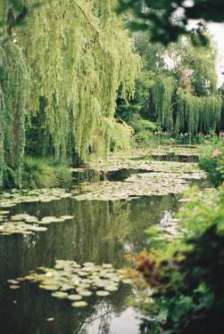 Visiter la Normandie • Giverny, Jardin de Claude Monet