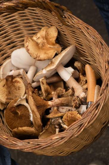 Pop-up | Le Manoir du Lys