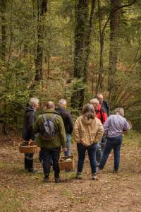 Séminaire Normandie · Manoir du Lys · Bagnoles-de-L’Orne