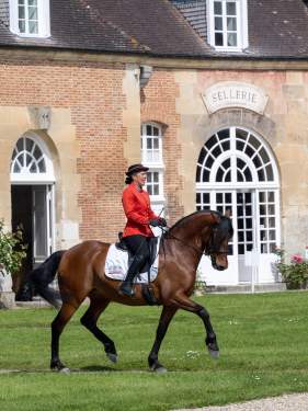 Visiter la Normandie • Le Haras National du Pin ORNE • Le Manoir du Lys